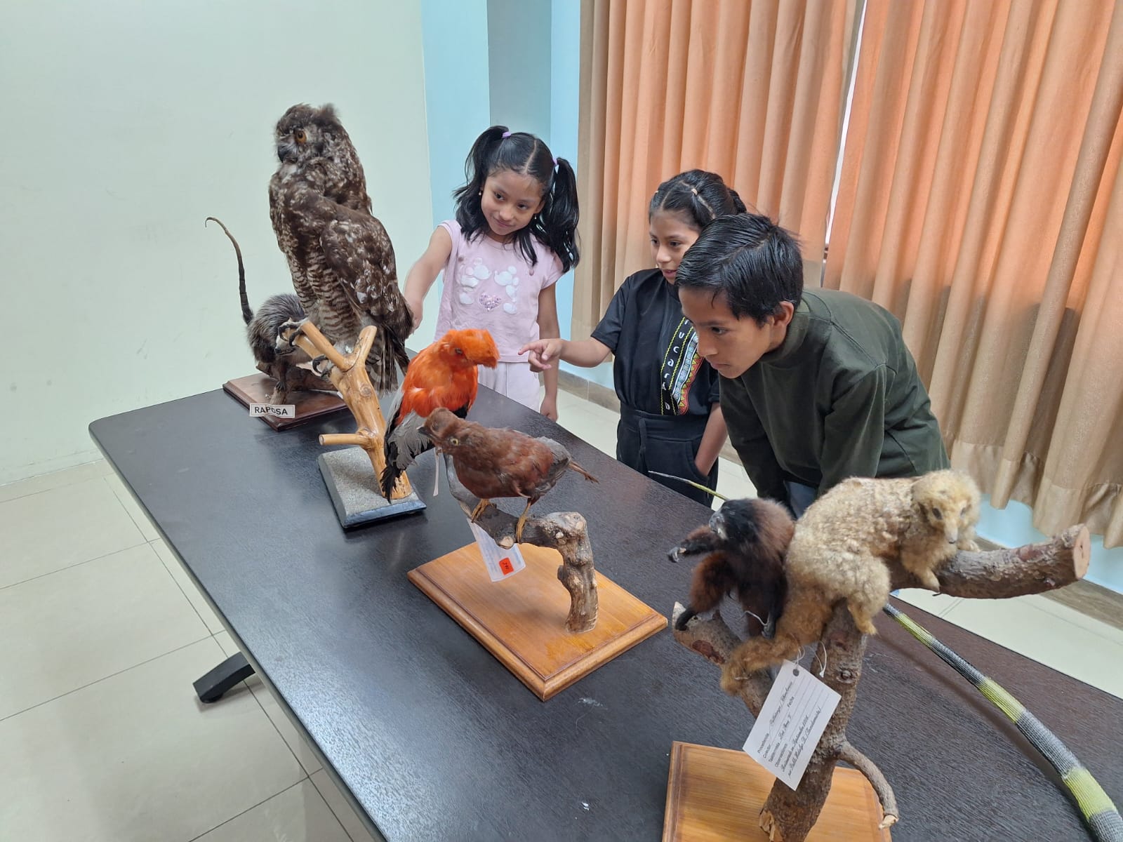 EL MUSEO MÓVIL DE LA UTA LLEGÓ A PICAIHUA CON “VIVE EL MUSEO: LEGADO DEL TIEMPO”